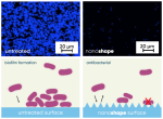 Vier Bilder, in denen gegenübergestellt wird, dass Bakterien auf der nanoshape-Oberfläche viel schlechter haften: in der oberen Reihe zwei blau angefärbte mikroskopische Bilder – links unbehandelte Oberfläche gleich sehr viele Kolonien; rechts nanoshape mit viel weniger Kolonien. Darunter zwei Bilder, in denen das Prinzip schematisch gezeichnet ist: Bakterien auf glatter Oberfläche und auf Implantat mit Zacken.